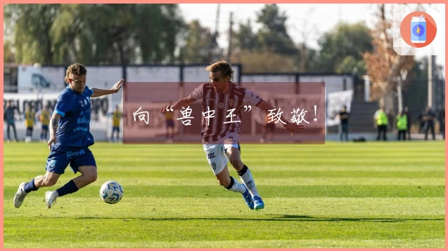 向“兽中王”致敬！