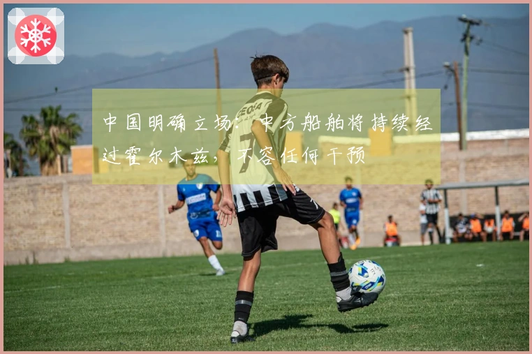 中国明确立场：中方船舶将持续经过霍尔木兹，不容任何干预