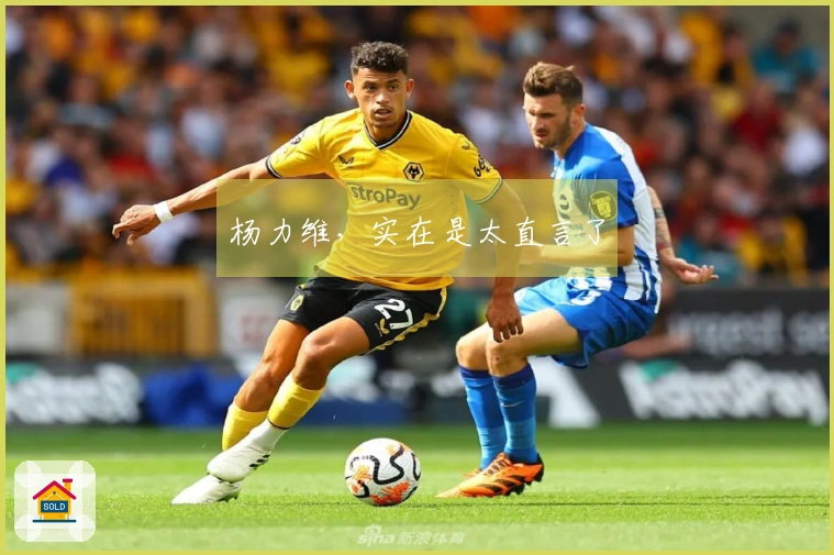 杨力维，实在是太直言了