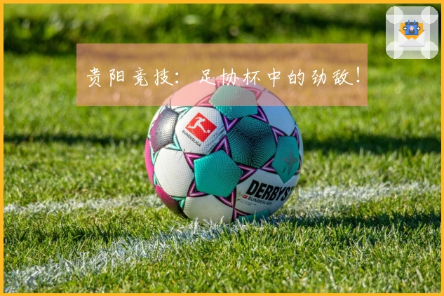 贵阳竞技：足协杯中的劲敌！