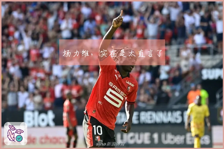 杨力维,实在是太直言了